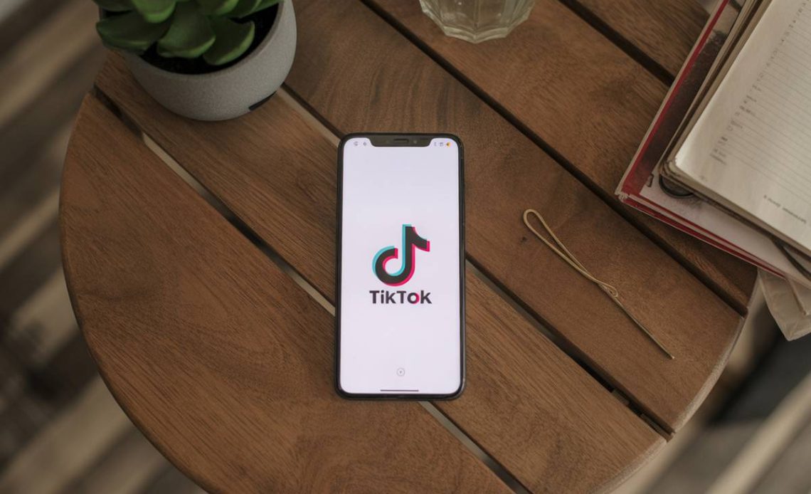 bio na tiktoku