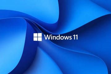 Cena Windows 11 – ile trzeba zapłacić za licencję?