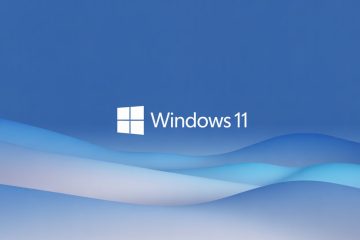 Nowy użytkownik Windows 11 - jak dodać konto lokalne lub Microsoft?