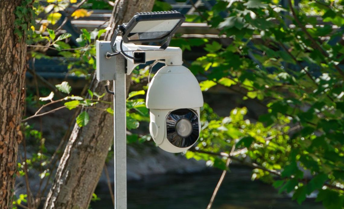 monitoring na działce